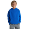delta fleece youth hoodie  